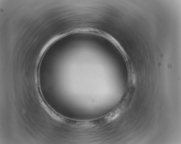 X0000080720811200612151157