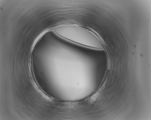 X0000080720812200612151157