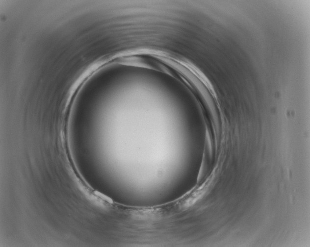 X0000080720813200612151157