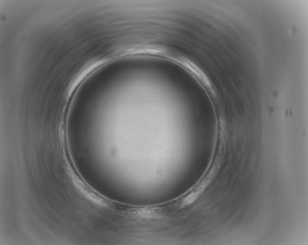 X0000080720814200612151157