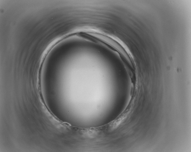 X0000080720815200612151157