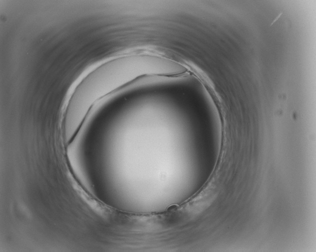 X0000080720816200612151157