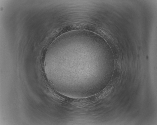 X0000080720817200612151156