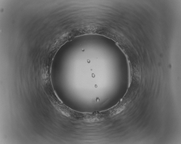 X0000080720818200612151156