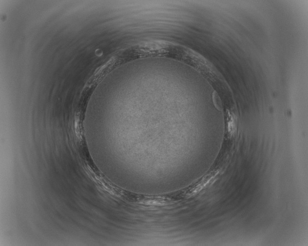 X0000080720819200612151156