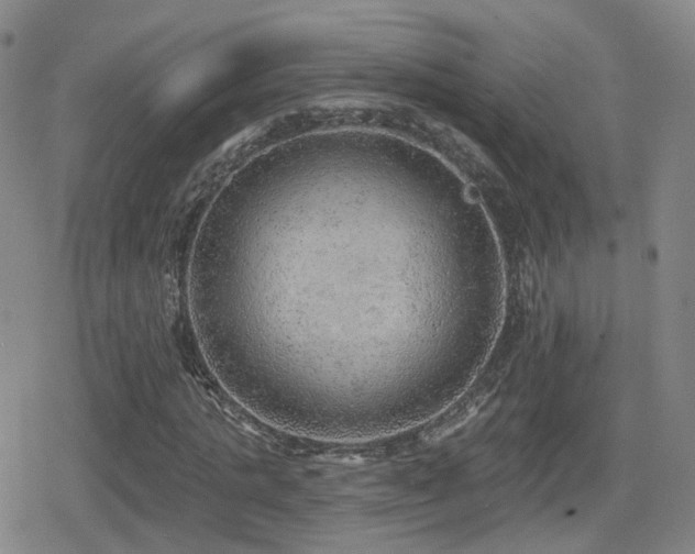 X0000080720821200612151156