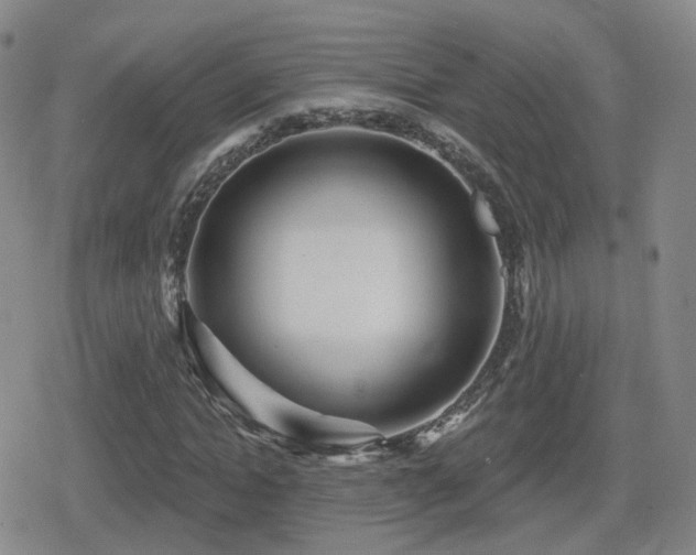 X0000080720822200612151156