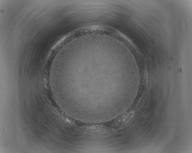 X0000080720823200612151156