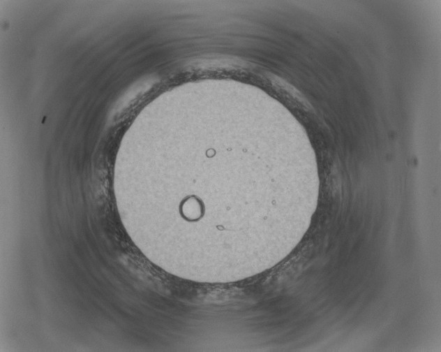 X0000080720824200612151156