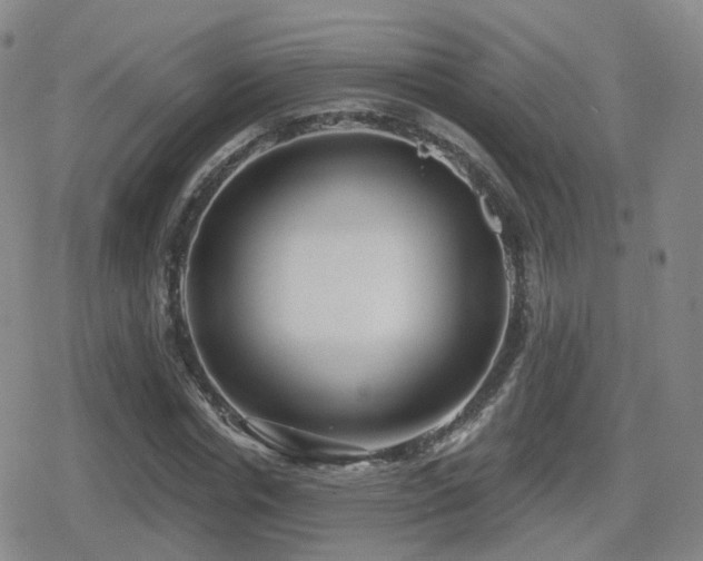 X0000080720826200612151156