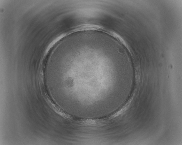 X0000080720827200612151156