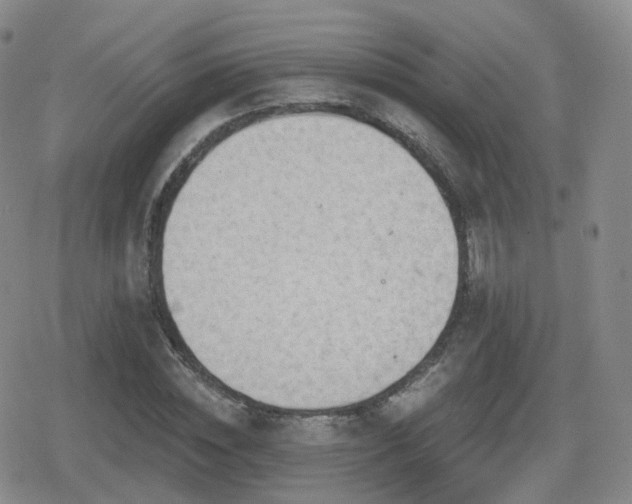 X0000080720828200612151156