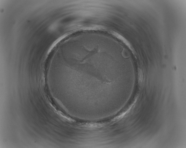 X0000080720829200612151156