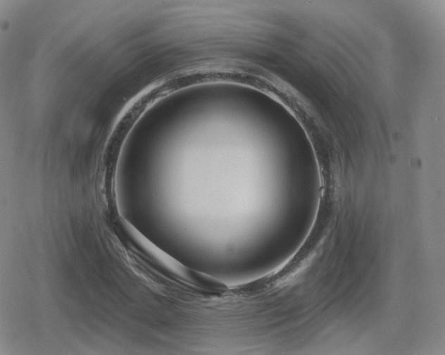 X0000080720830200612151157