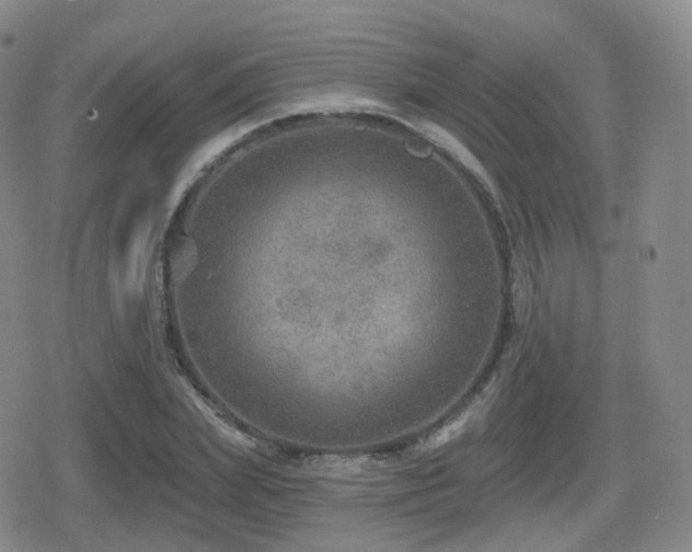 X0000080720831200612151157