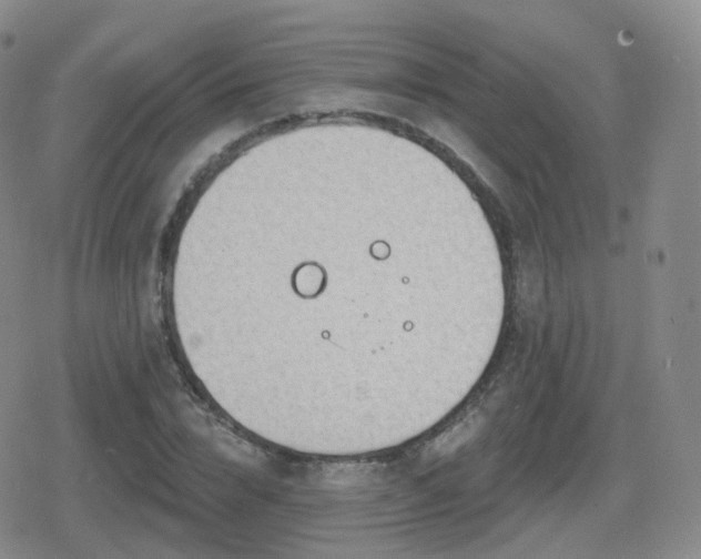 X0000080720832200612151157