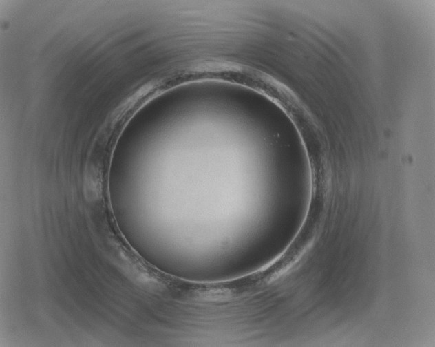 X0000080720833200612151157