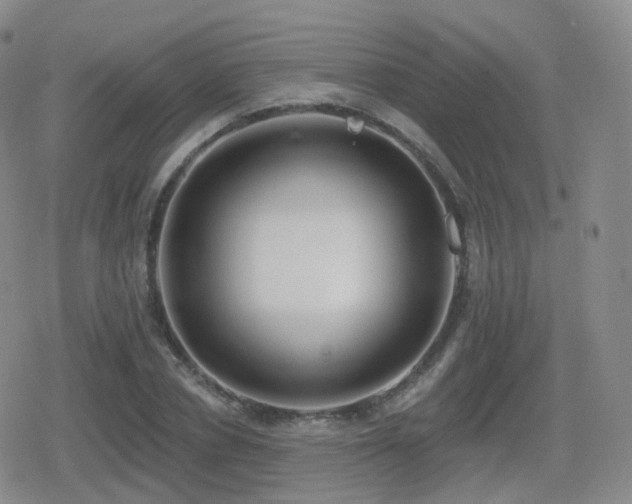 X0000080720834200612151157