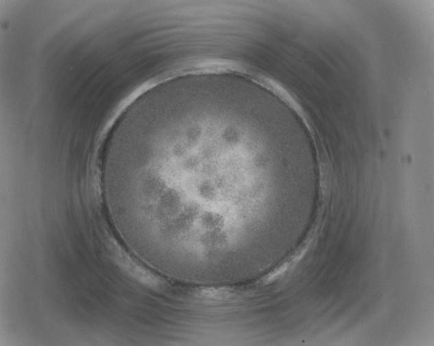 X0000080720835200612151157