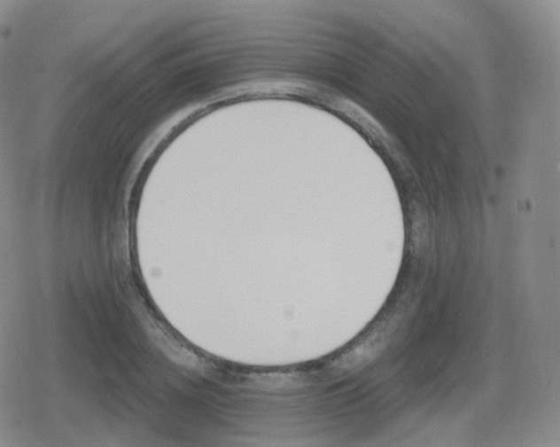 X0000080720836200612151157