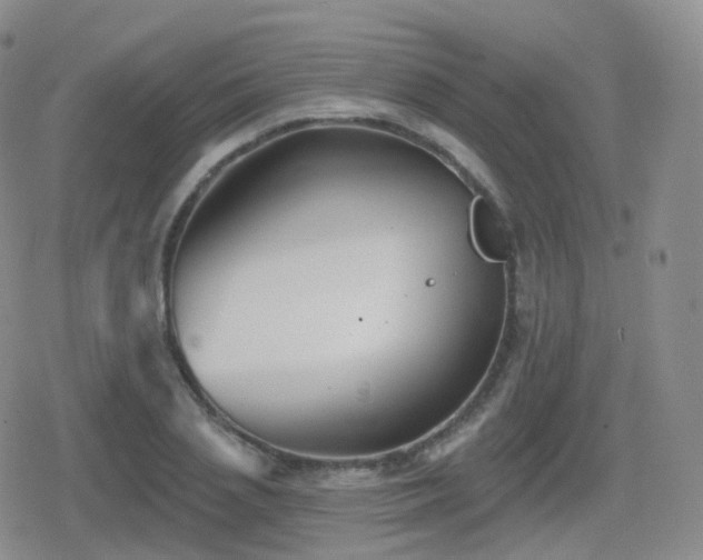 X0000080720837200612151157