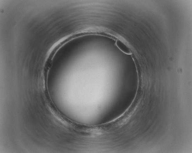 X0000080720838200612151157