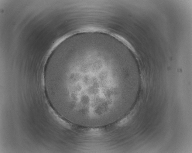 X0000080720839200612151157