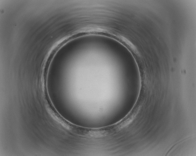 X0000080720840200612151157