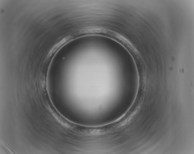 X0000080720841200612151157