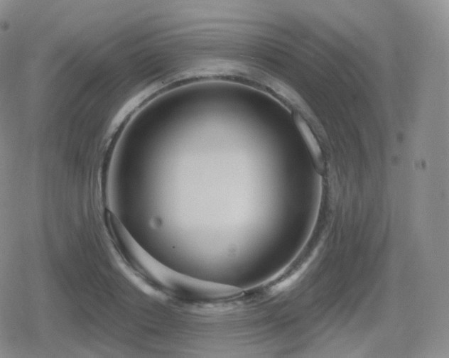 X0000080720842200612151157