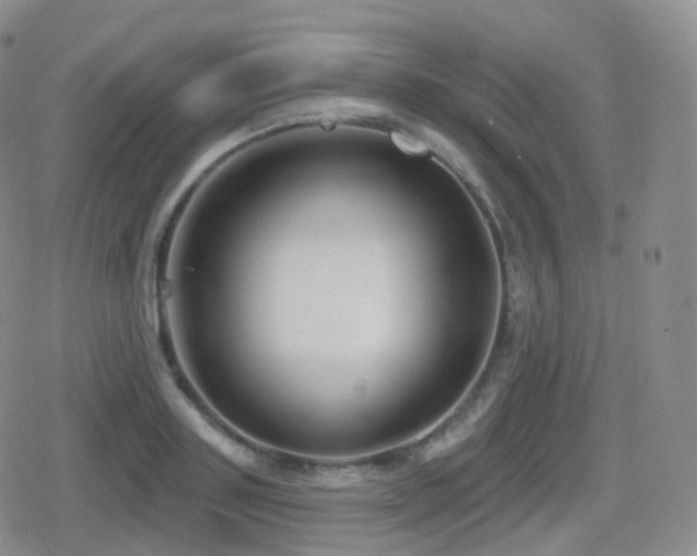 X0000080720843200612151157