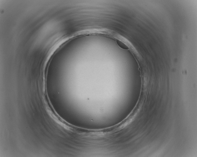 X0000080720844200612151157