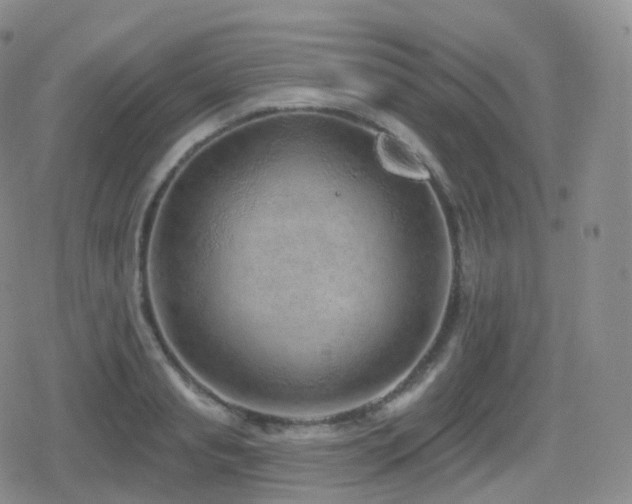 X0000080720845200612151157