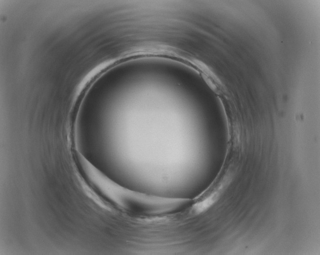 X0000080720846200612151157