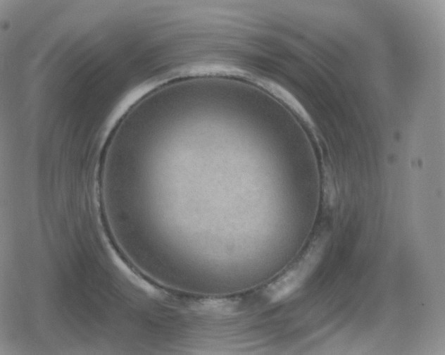 X0000080720847200612151157