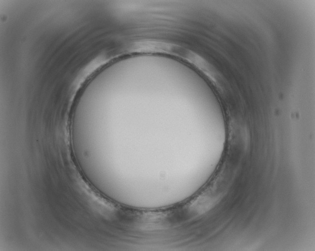 X0000080720848200612151157