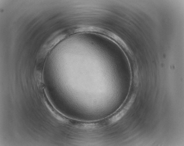 X0000080720849200612151157