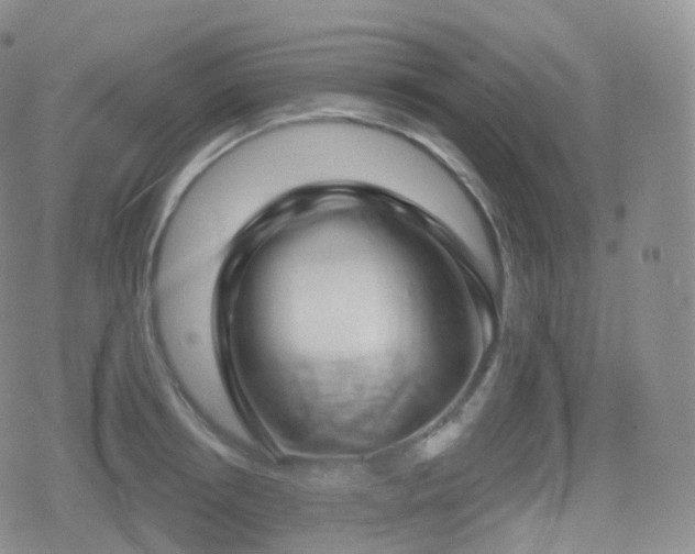 X0000080720850200612151157