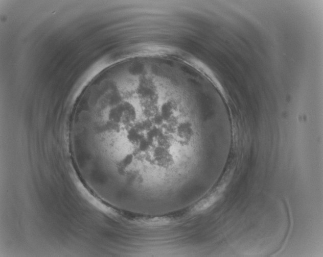 X0000080720851200612151157