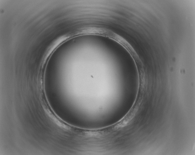 X0000080720852200612151157