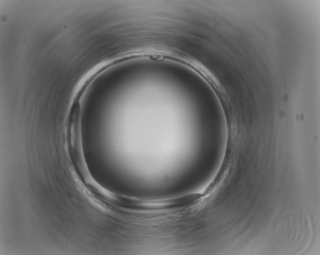 X0000080720854200612151157