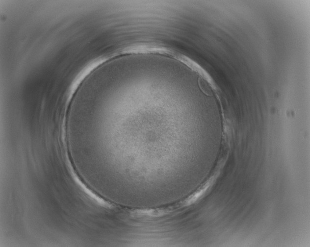 X0000080720855200612151157