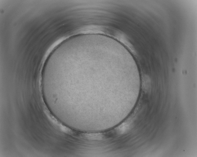 X0000080720856200612151157