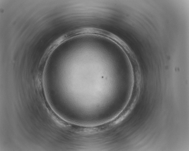 X0000080720857200612151157