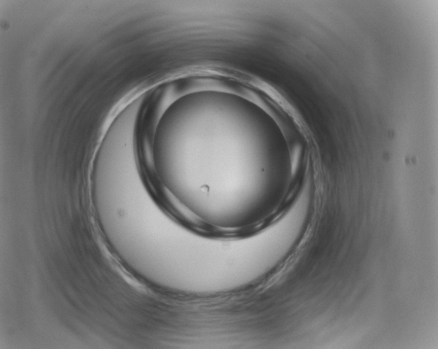 X0000080720858200612151157