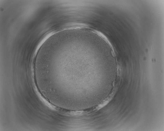 X0000080720859200612151157