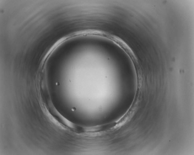 X0000080720860200612151157