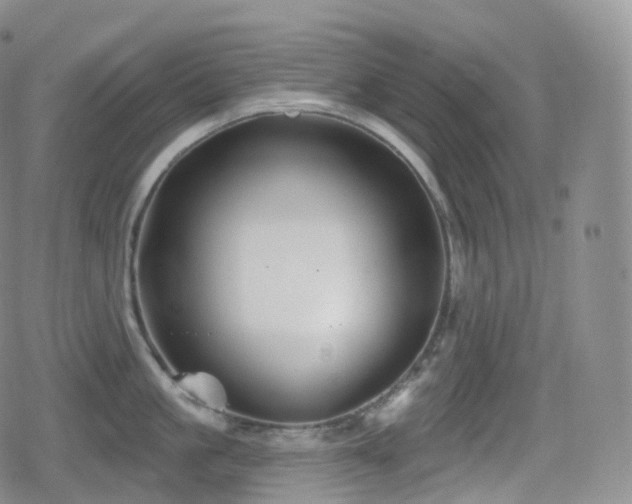 X0000080720861200612151157