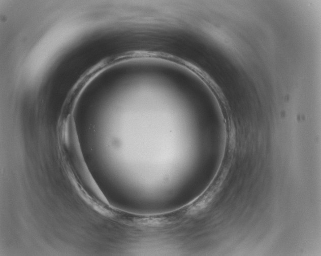 X0000080720862200612151157