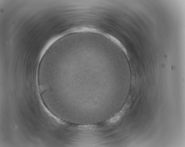 X0000080720863200612151157